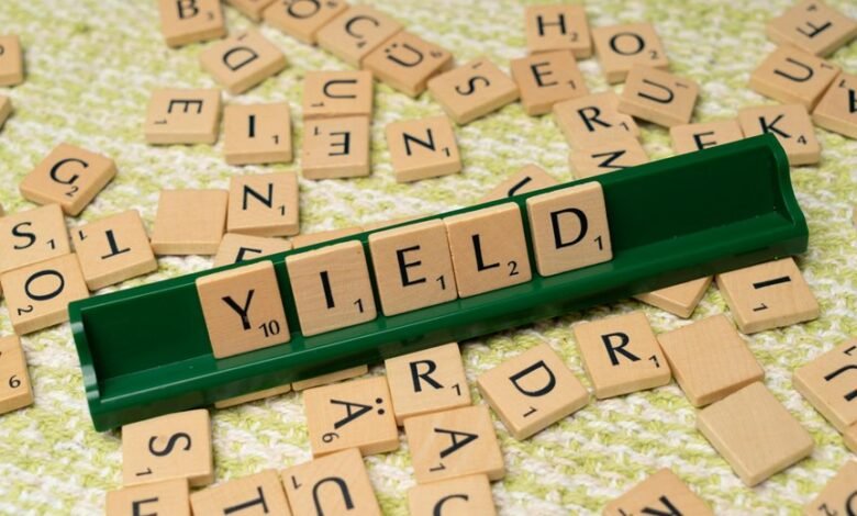 dividend yield fund gmbh
