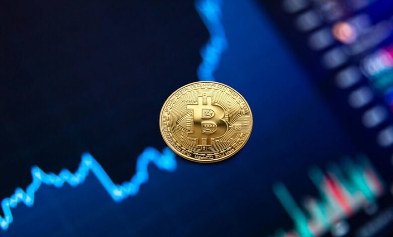 mid cap fund investment