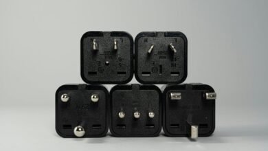 moti oswa large input