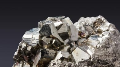 moti oswa small pyrite