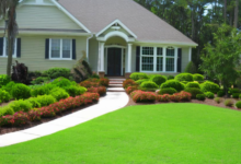Always Green Landscaping: Myrtle Beach's Premier Lawn Care & Landscape Design Experts