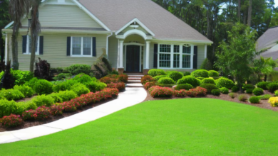 Always Green Landscaping: Myrtle Beach's Premier Lawn Care & Landscape Design Experts