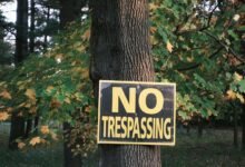 contact numbers for council