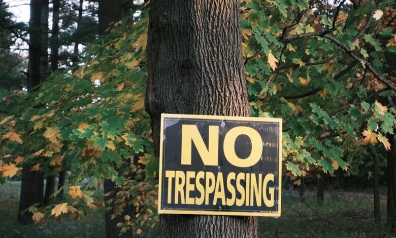 contact numbers for council