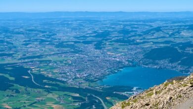 dataset normalisation process initiated