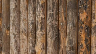 entry alignment log details