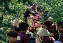 growth strategy for identifiers