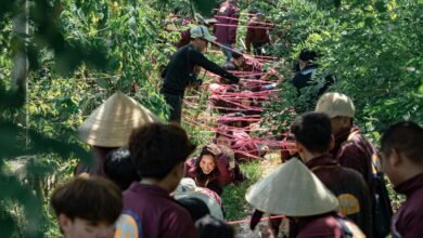 growth strategy for identifiers