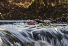 identifier flow collation brief