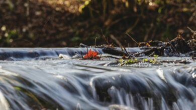 identifier flow collation brief