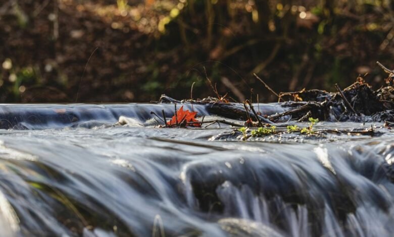 identifier flow collation brief