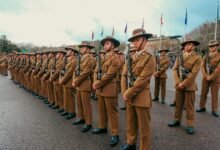 numeric cohort alignment ledger