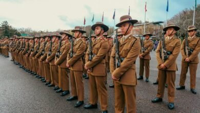 numeric cohort alignment ledger