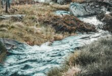 numeric stream harmonisation file