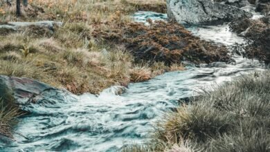 numeric stream harmonisation file