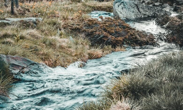 numeric stream harmonisation file