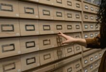 system index correlation summary