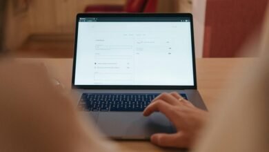 terminal numeric reference summary